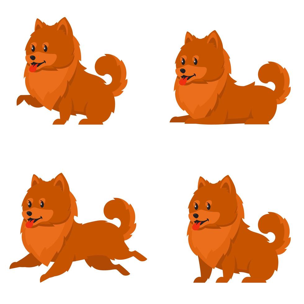 Spitz dog in different poses vector