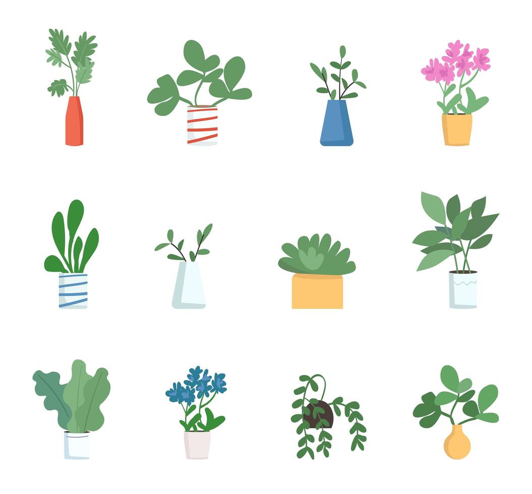 Houseplants objects set vector