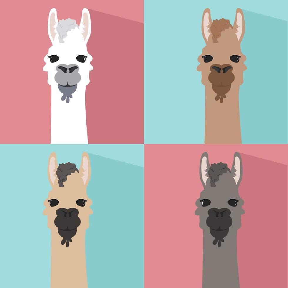Set of colorful alpaca lamas vector