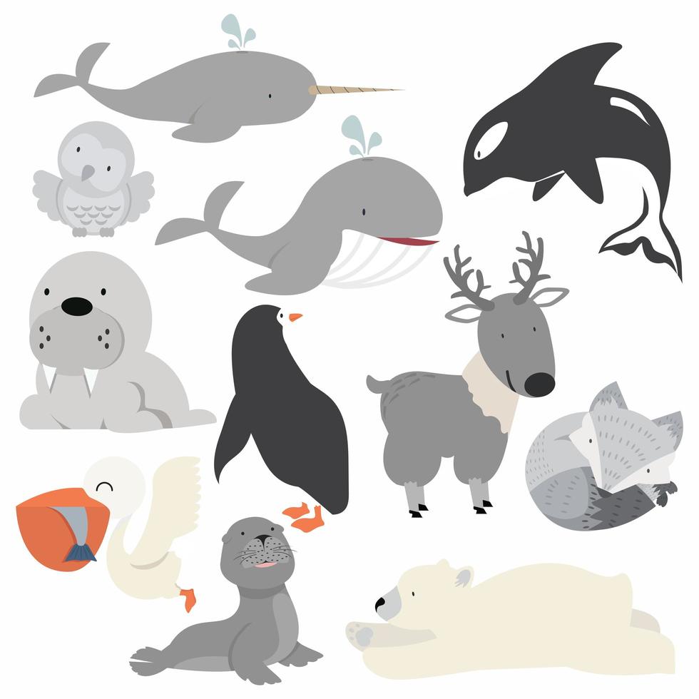 Collection of Arctic animals including whales, bears, and owls vector