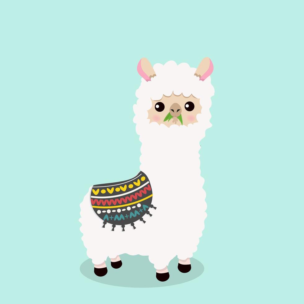 Cute fluffy alpaca eating grass vector