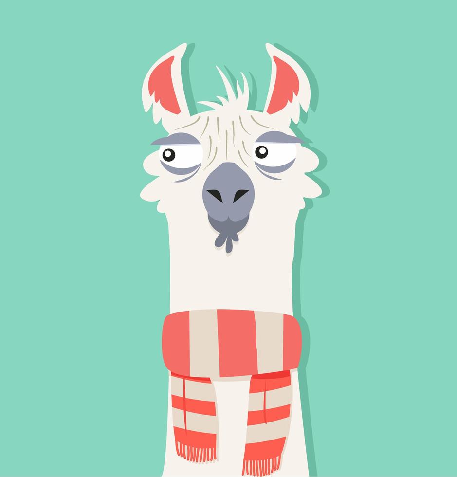 alpaca con bufanda vector