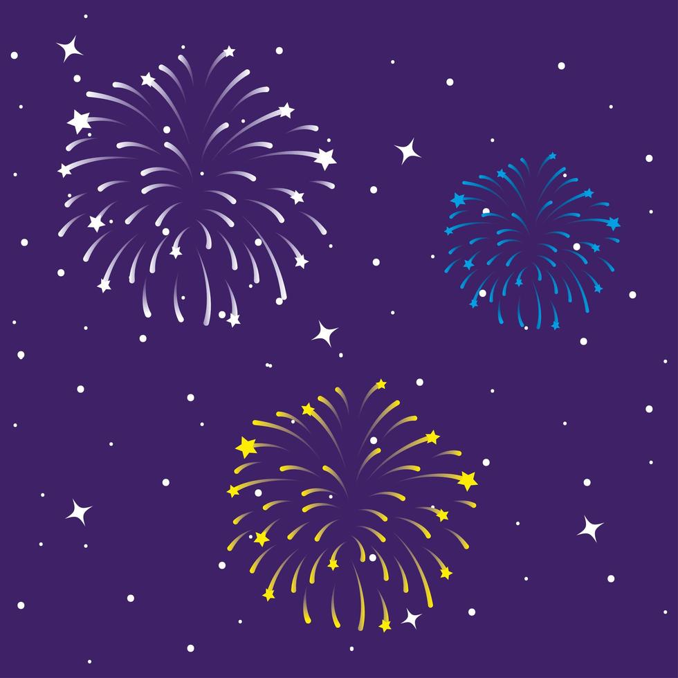 Fireworks burst explosion in the sky at night vector
