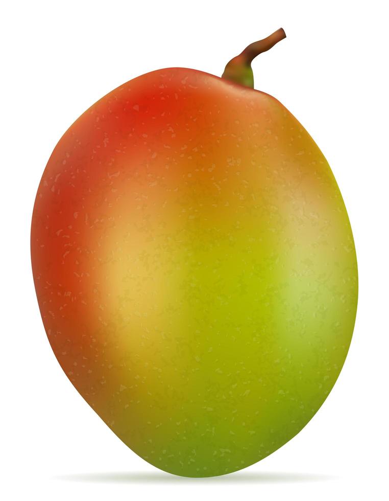 Mango fresh ripe exotic fruit vector