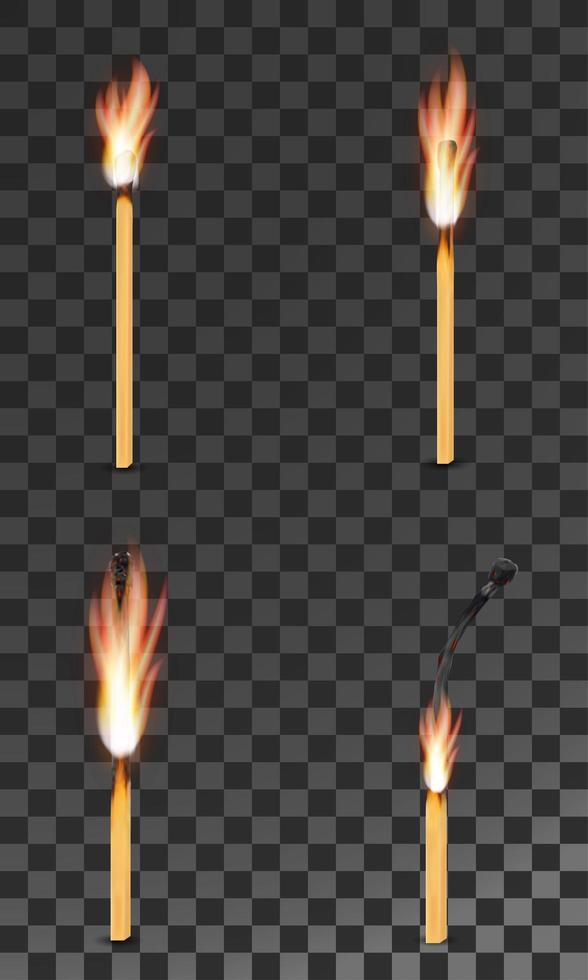 Burning charred wooden match set vector