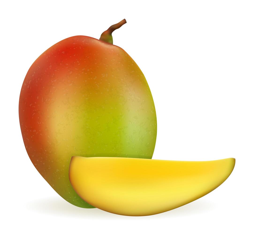 Mango fresh ripe exotic fruit vector