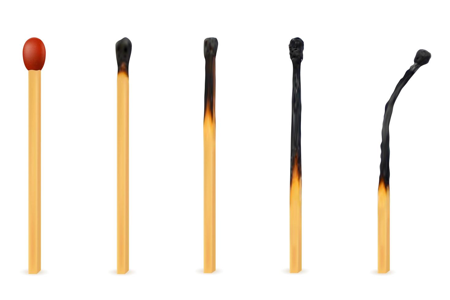 Wooden burned and extinct matches set vector