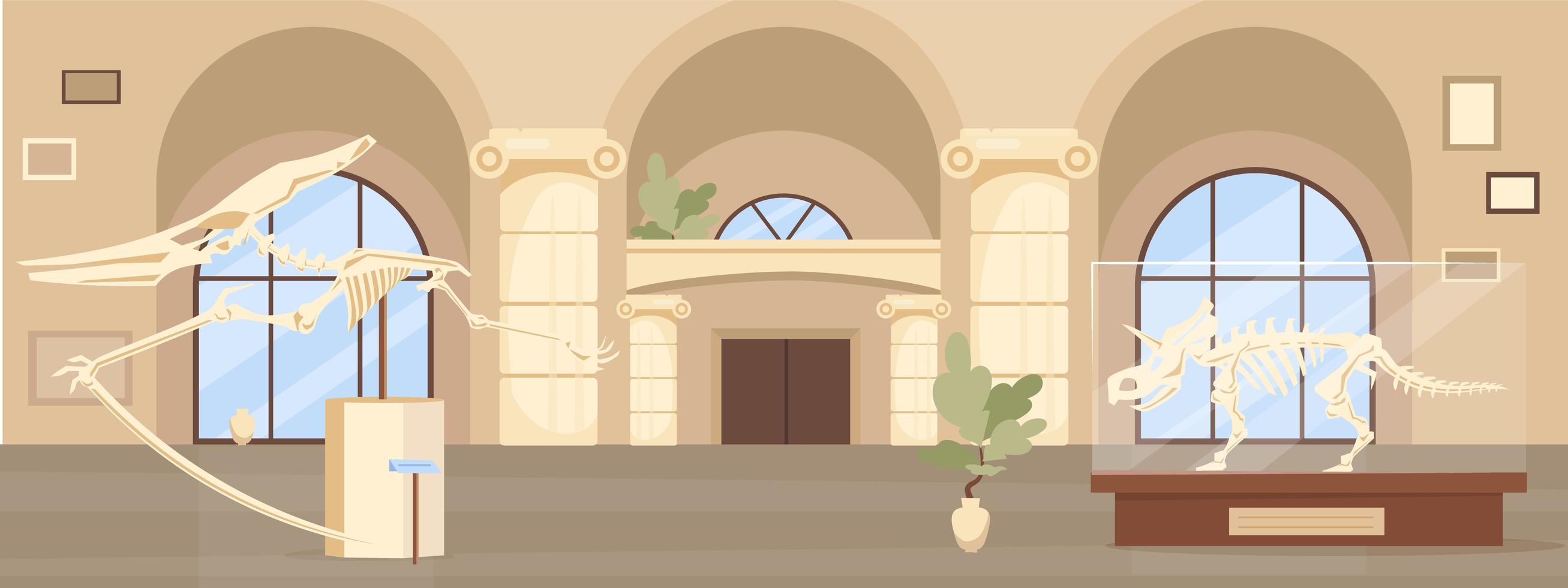 Empty paleontology museum hall vector