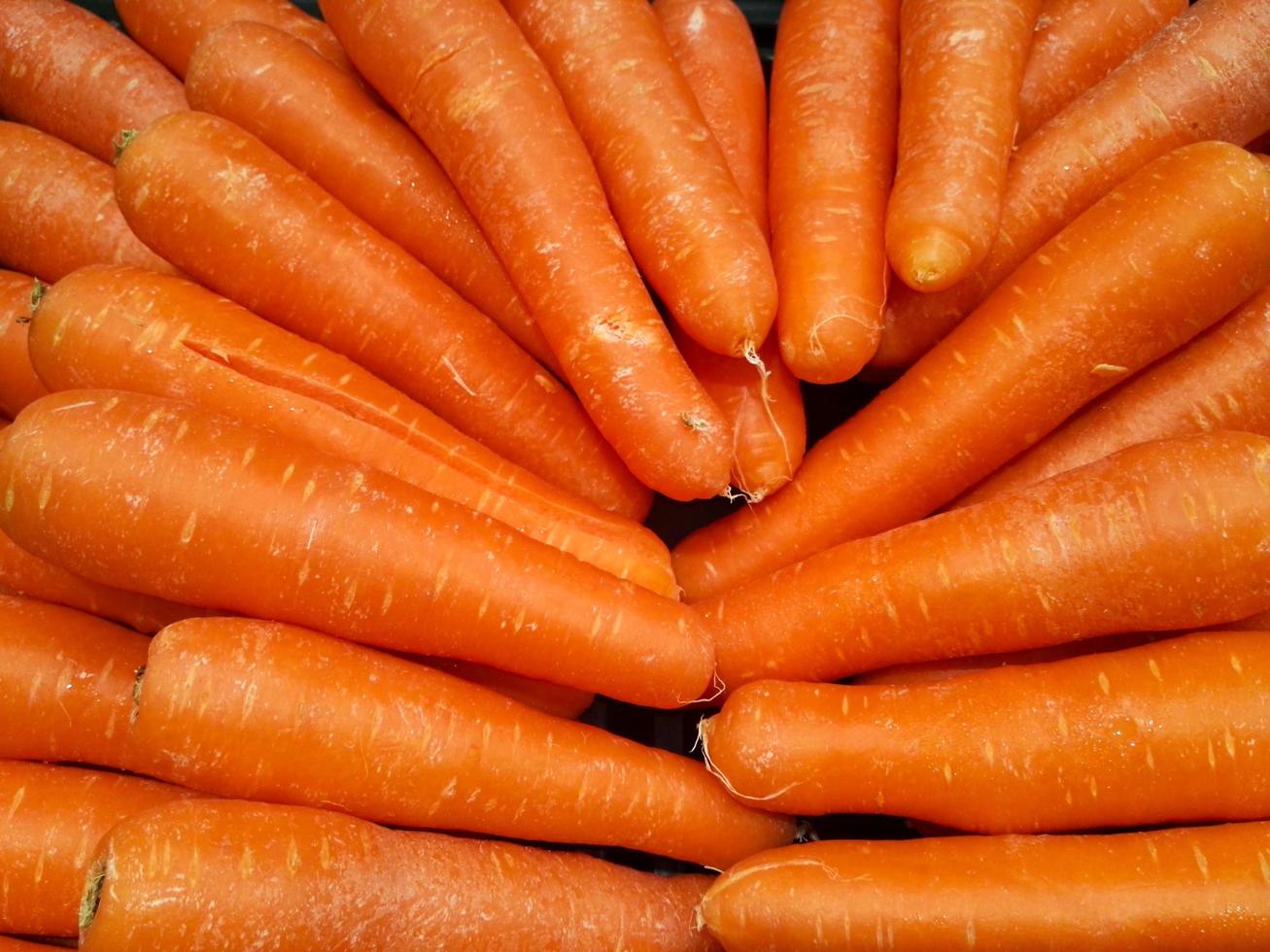 Group of carrots background photo