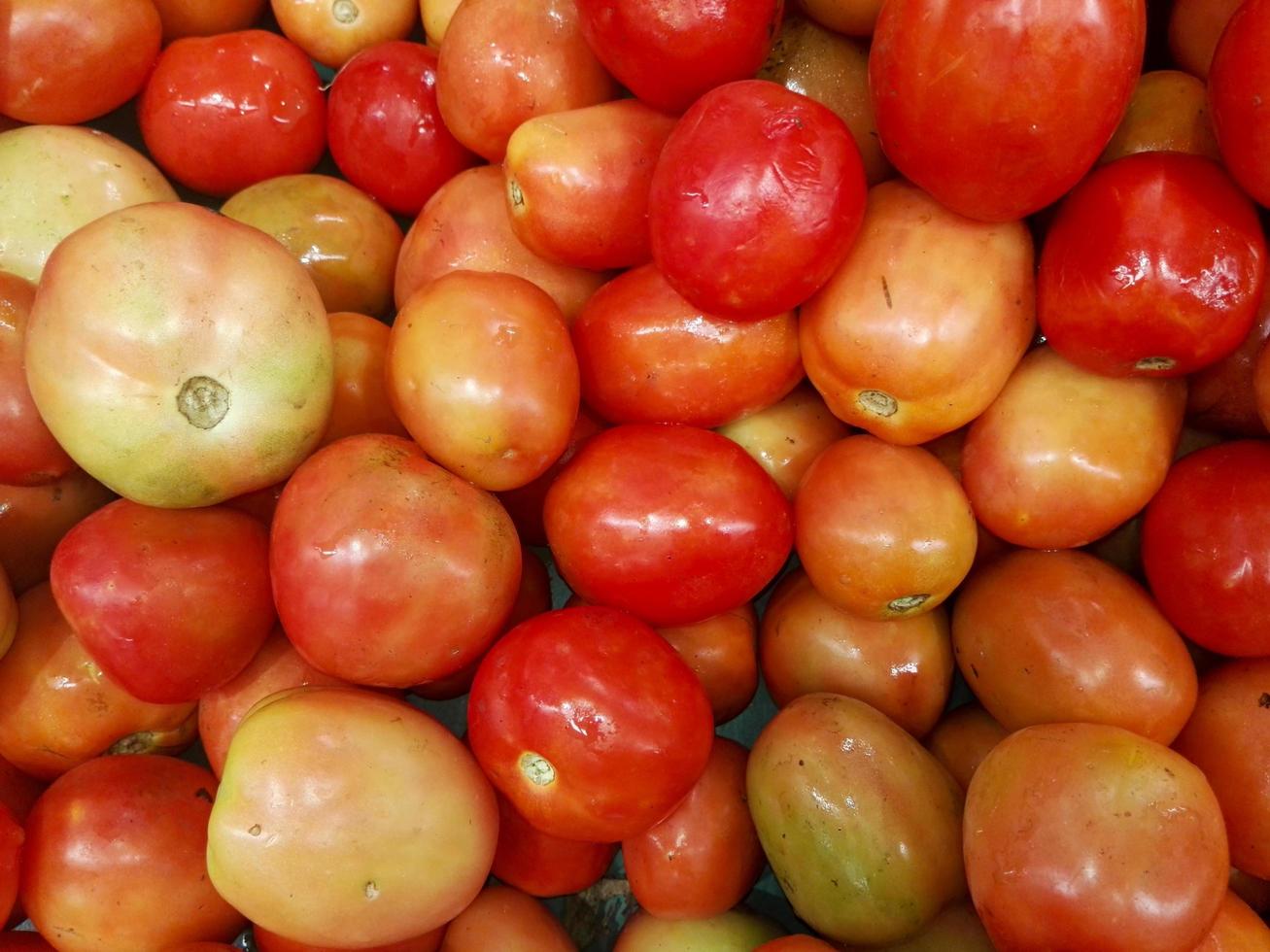 Close-up of tomatoes photo