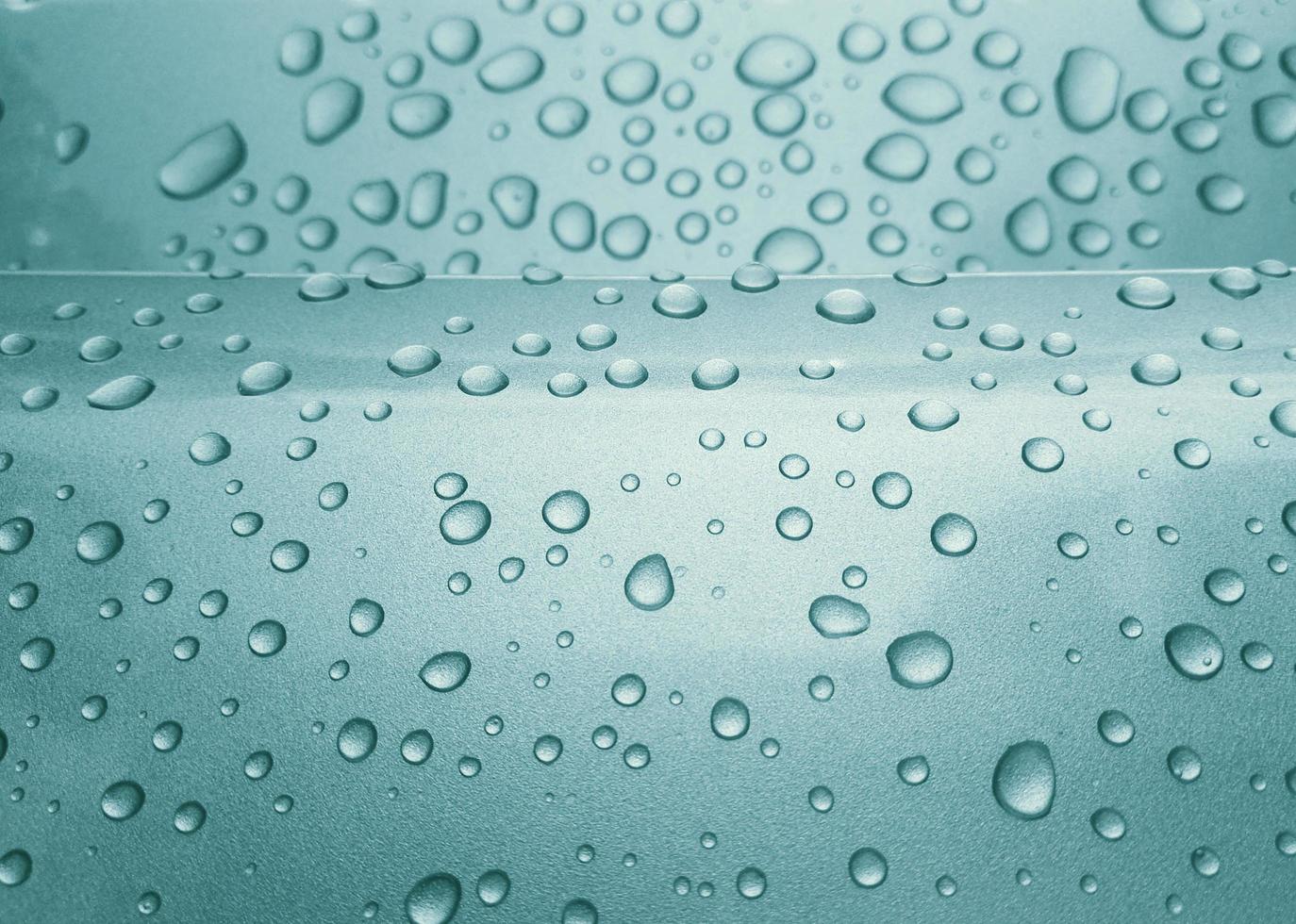 Close-up of rain photo