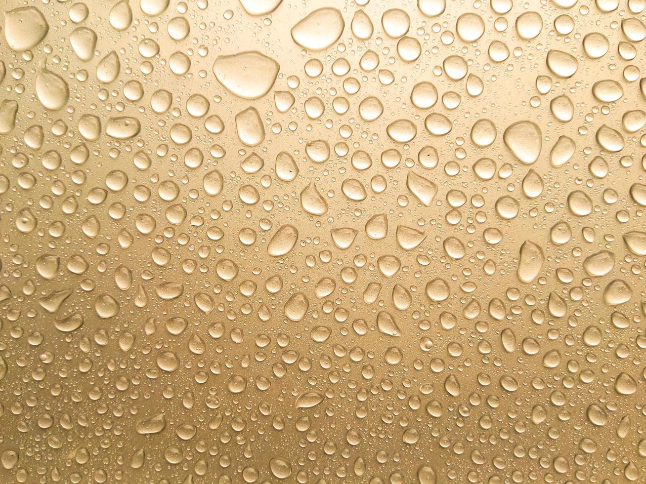 Close-up of golden rain photo