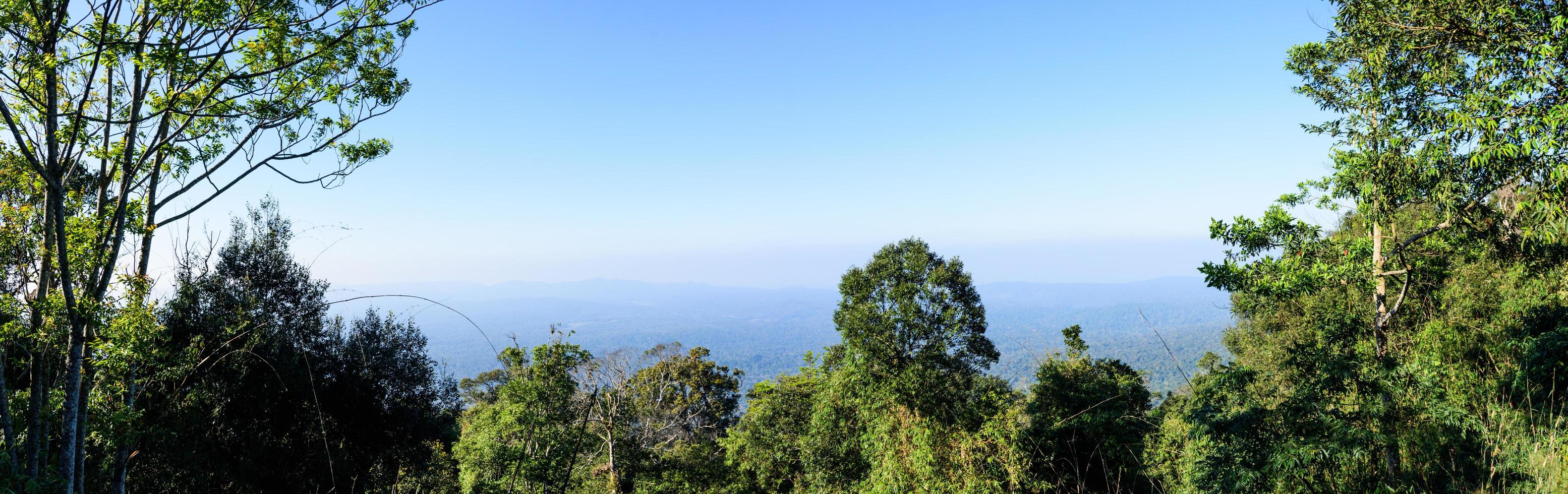 paisaje en el parque nacional khaoyai foto