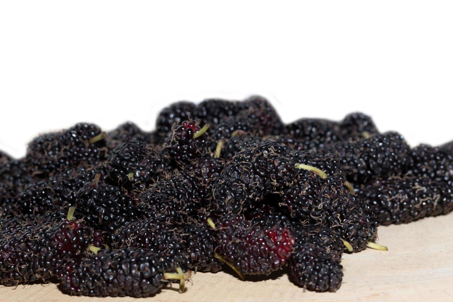 Mulberry, close-up photo