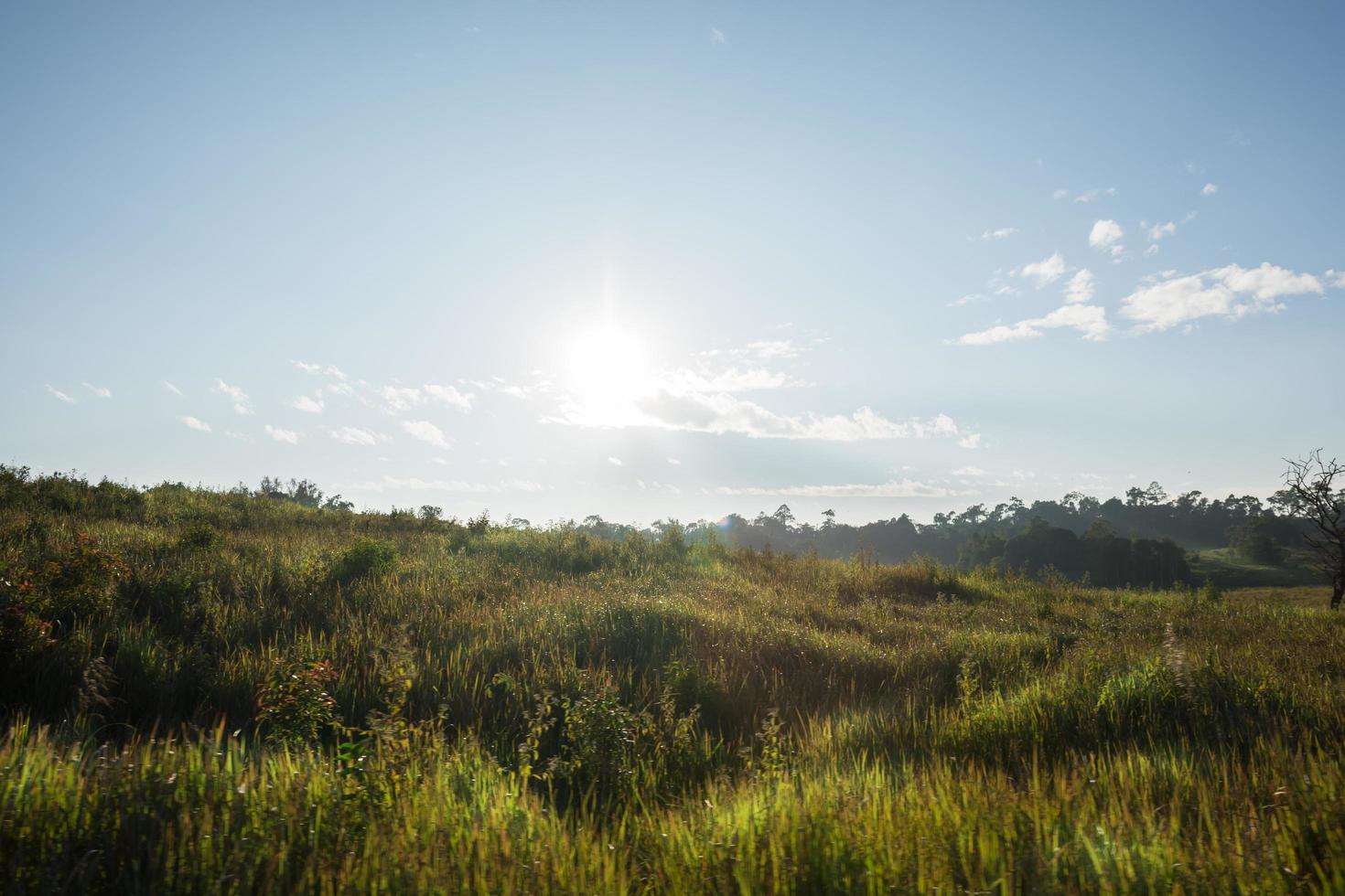 Landscape at Khao Yai National Park photo