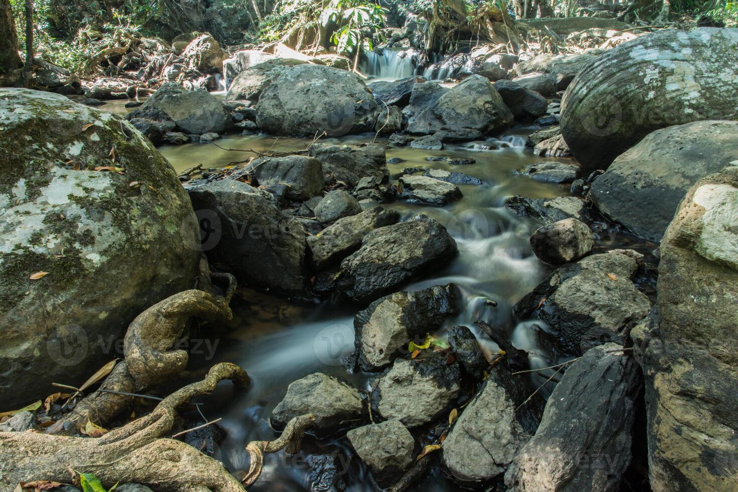 A stream flowing through a forest with rocks and trees photo