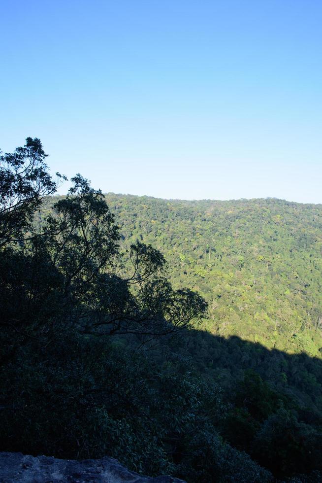 Landscape in the Khaoyai National Park, Nakhon photo