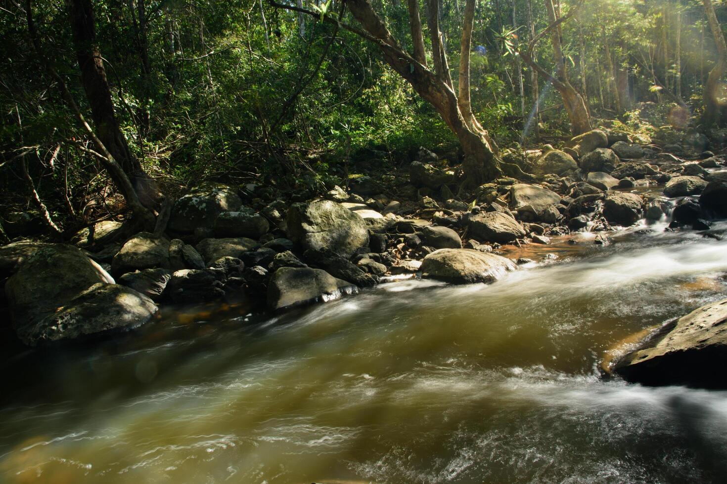 arroyo en la cascada de pha kluai mai foto