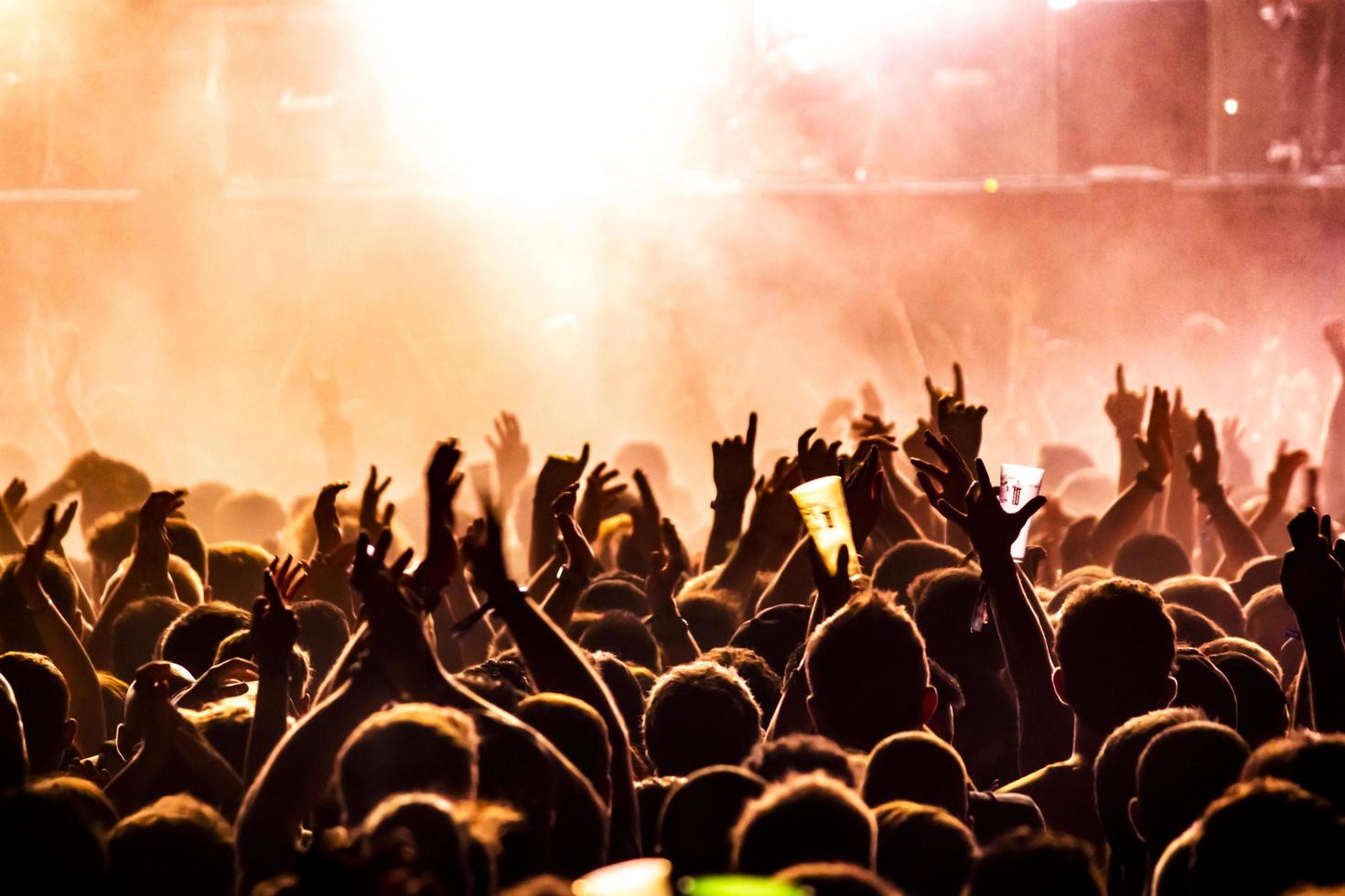 People raising their hands on a concert photo