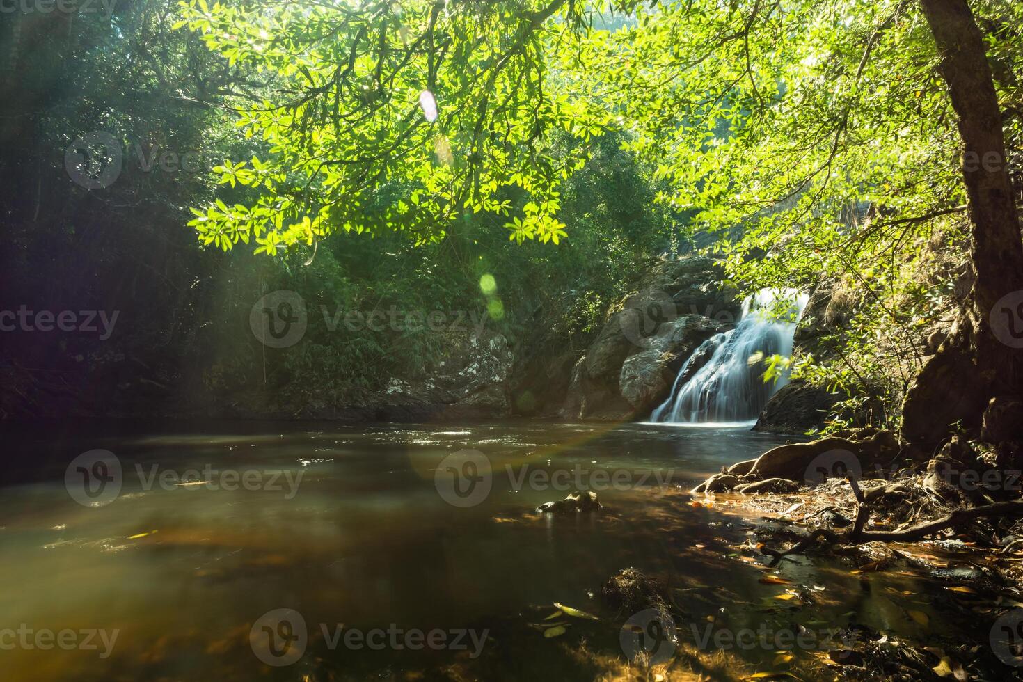 A waterfall in the forest photo