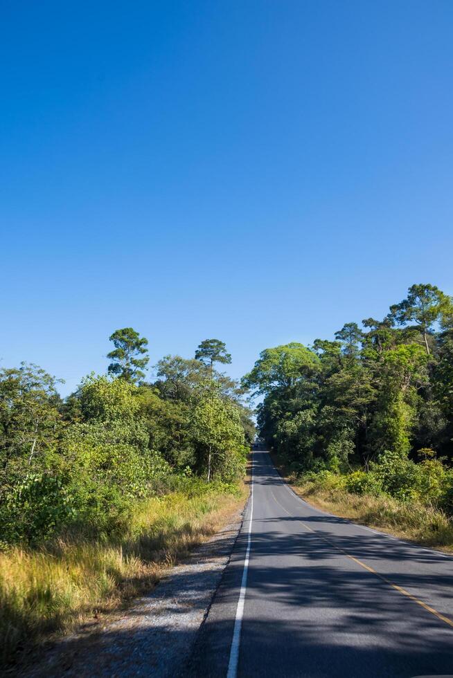 Landscape at Khao Yai National Park photo