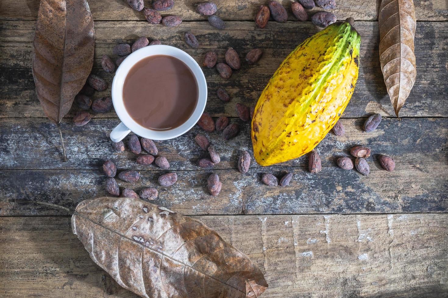 taza de cacao y fruta de cacao foto