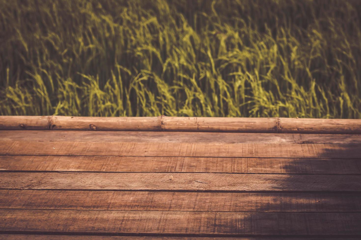 tablones de madera sobre un campo de arroz foto