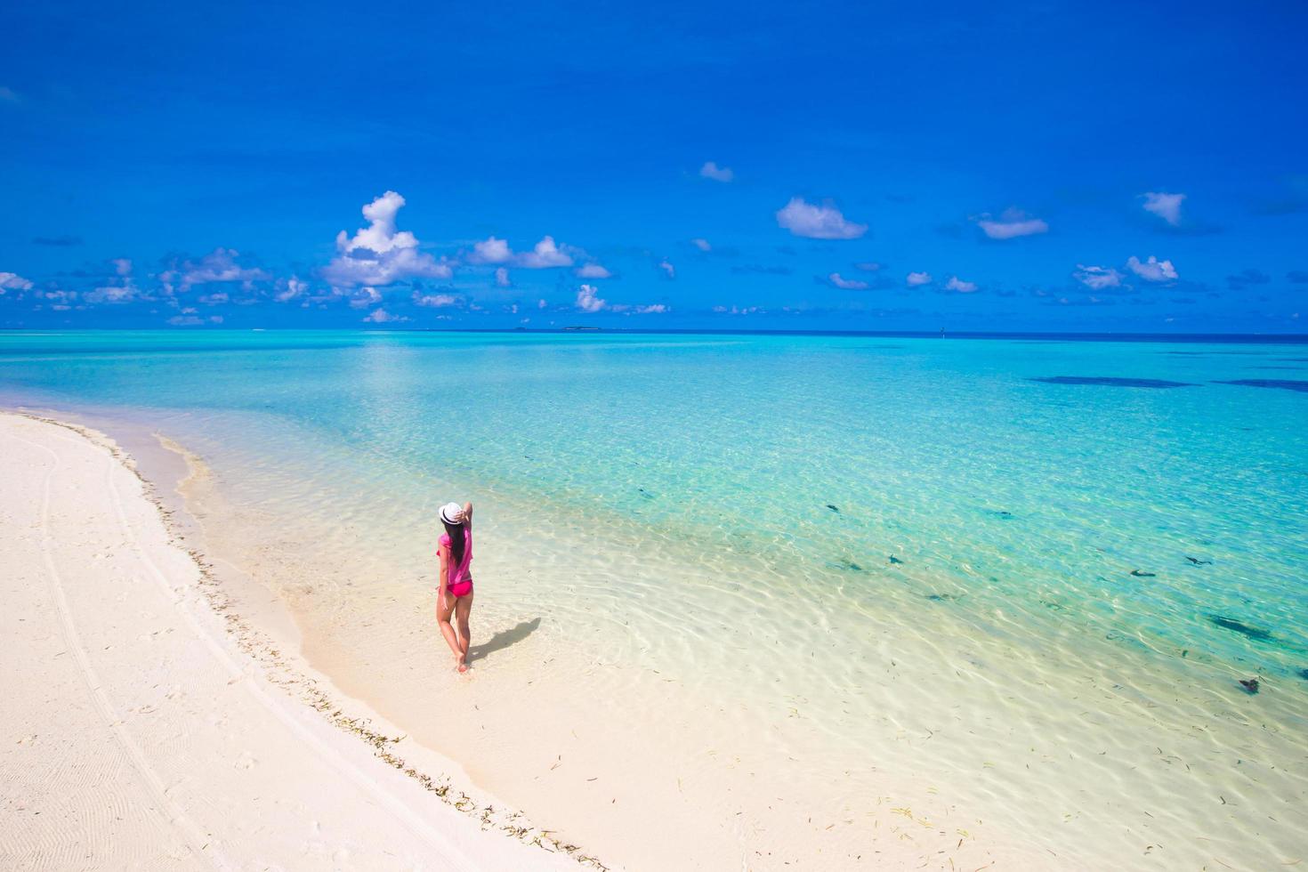 vista aérea, de, un, mujer caminar, en, un, playa foto