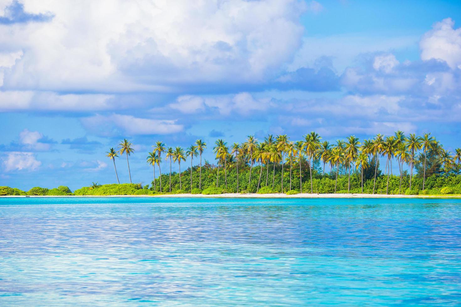 isla tropical y un océano azul foto