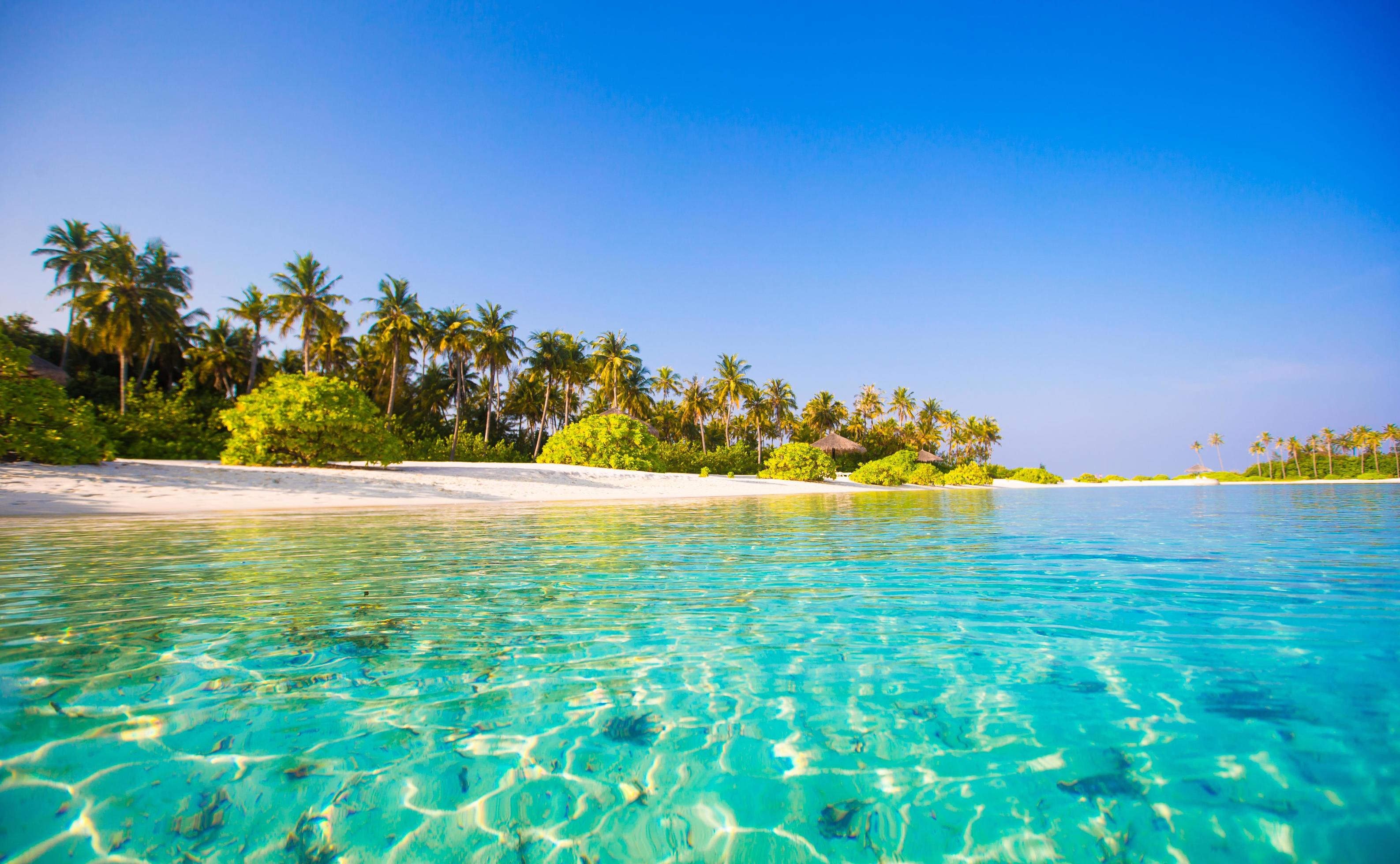 Beautiful blue water at a tropical beach photo