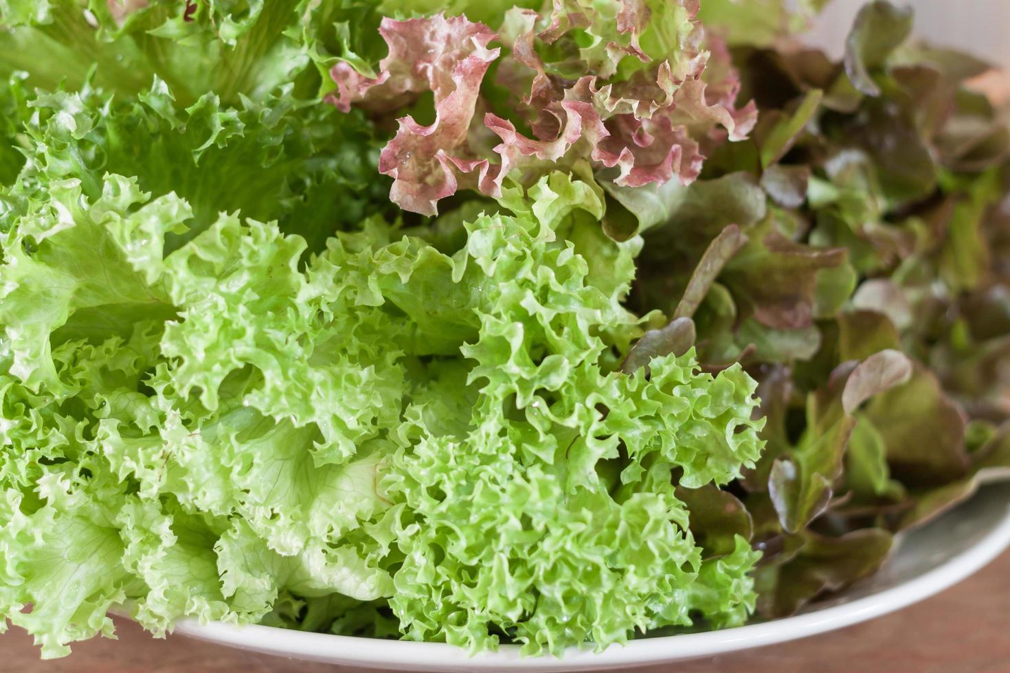 Plate of lettuce photo