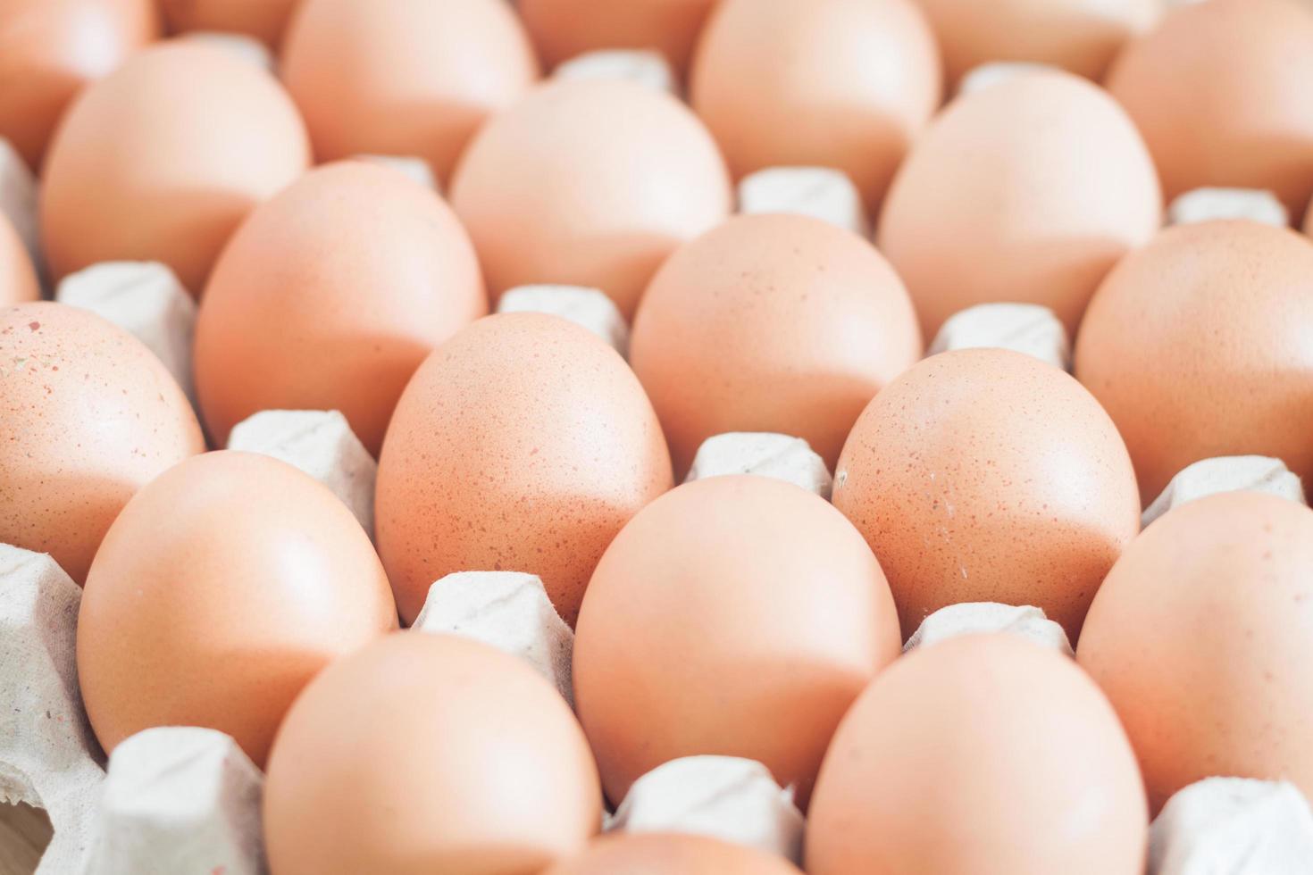 Close-up of eggs in a crate photo