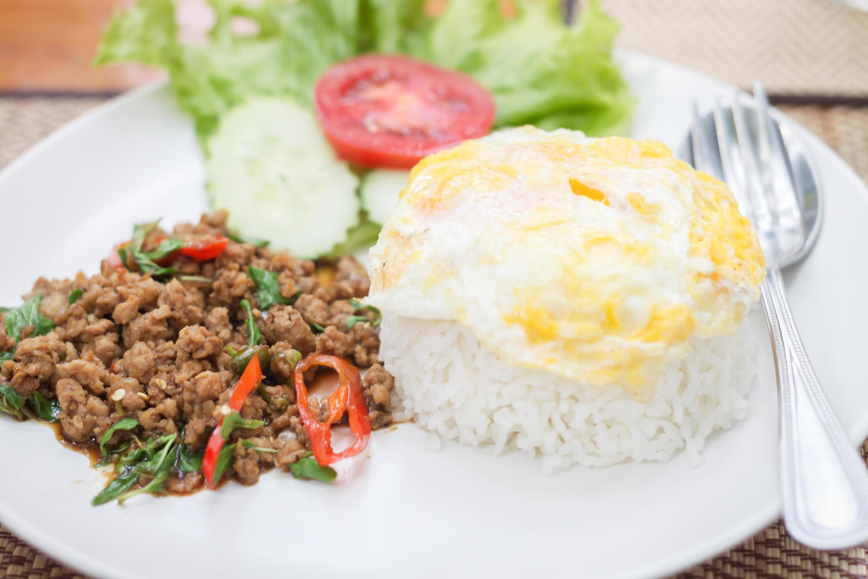 Thai spicy pork and fried rice 1739825 Stock Photo at Vecteezy