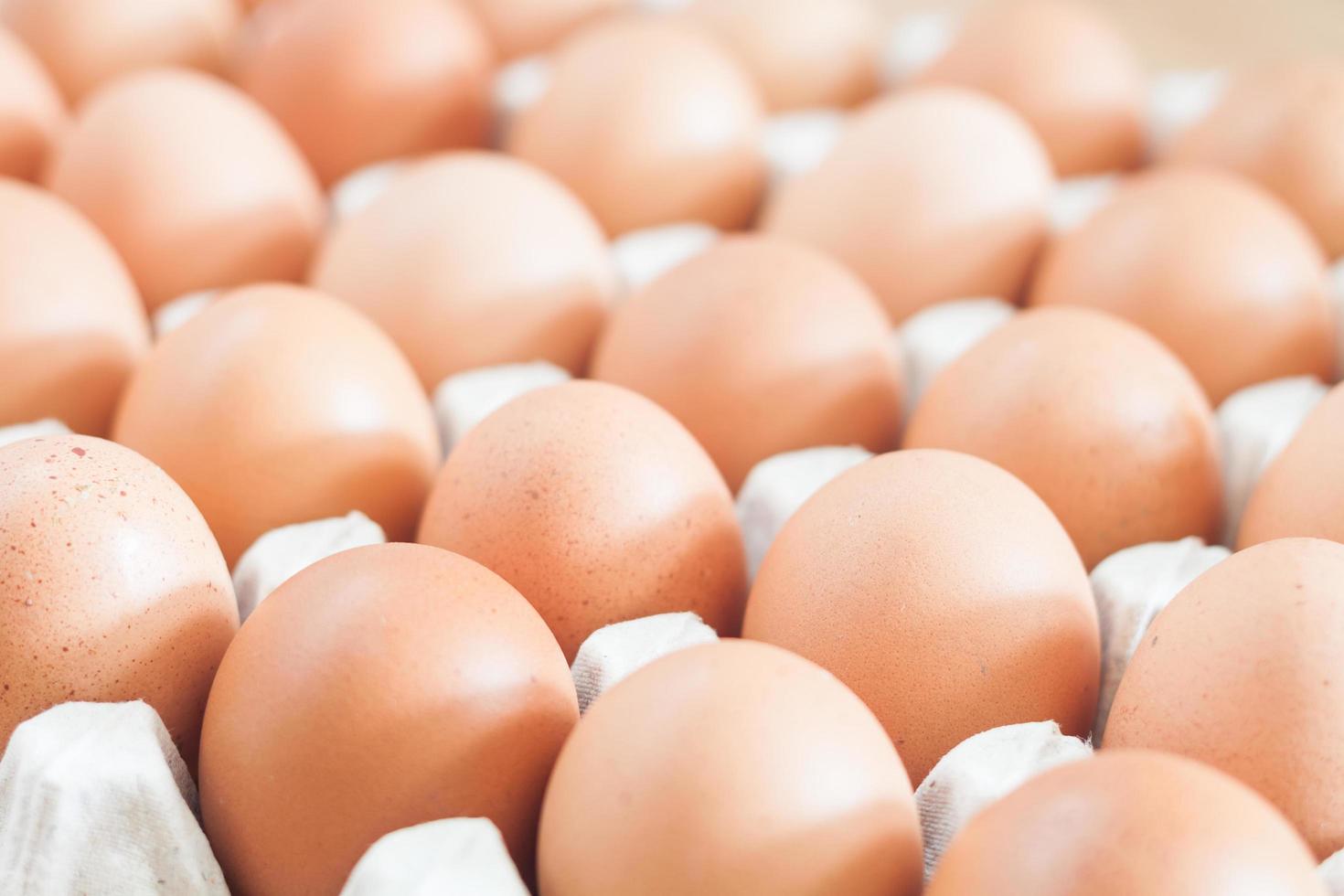 Fresh eggs in a crate photo