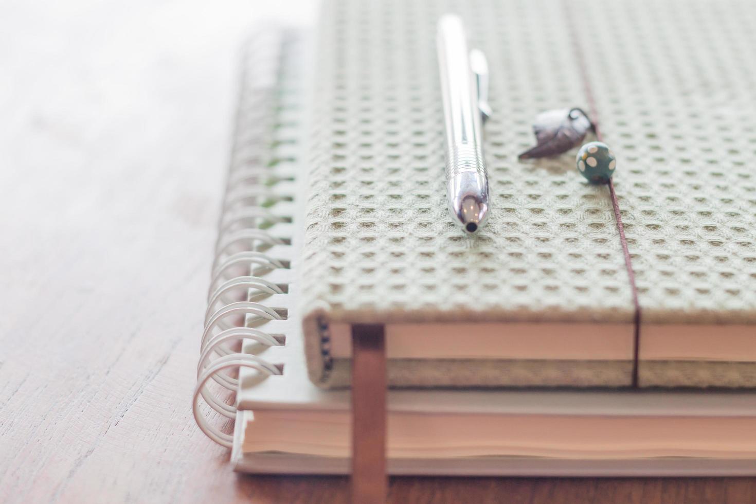 Pen on two notebooks photo