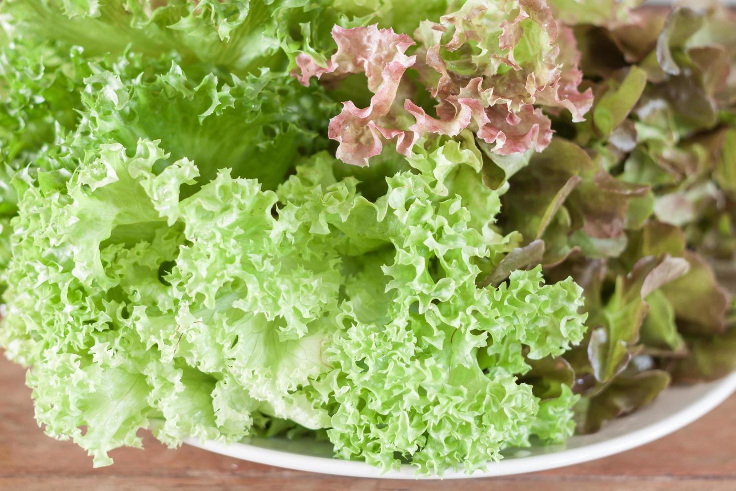 Close-up of lettuce leaves photo