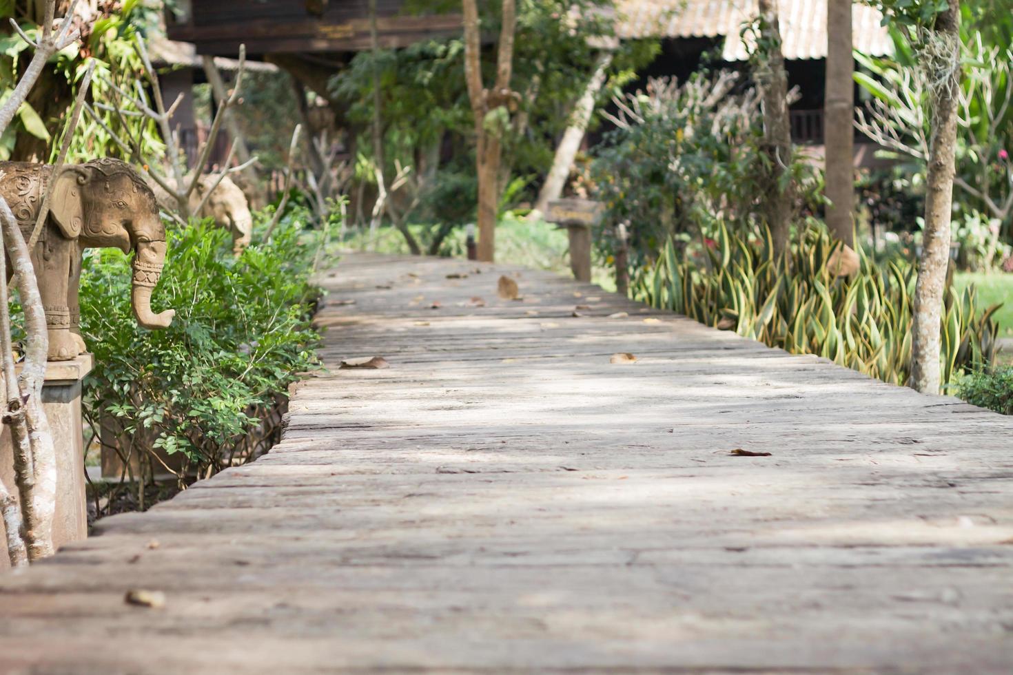 Wooden boardwalk in a garden photo