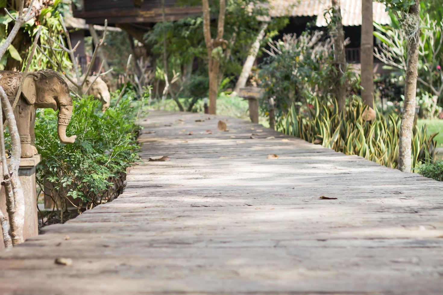 Paseo de madera en un jardín. foto