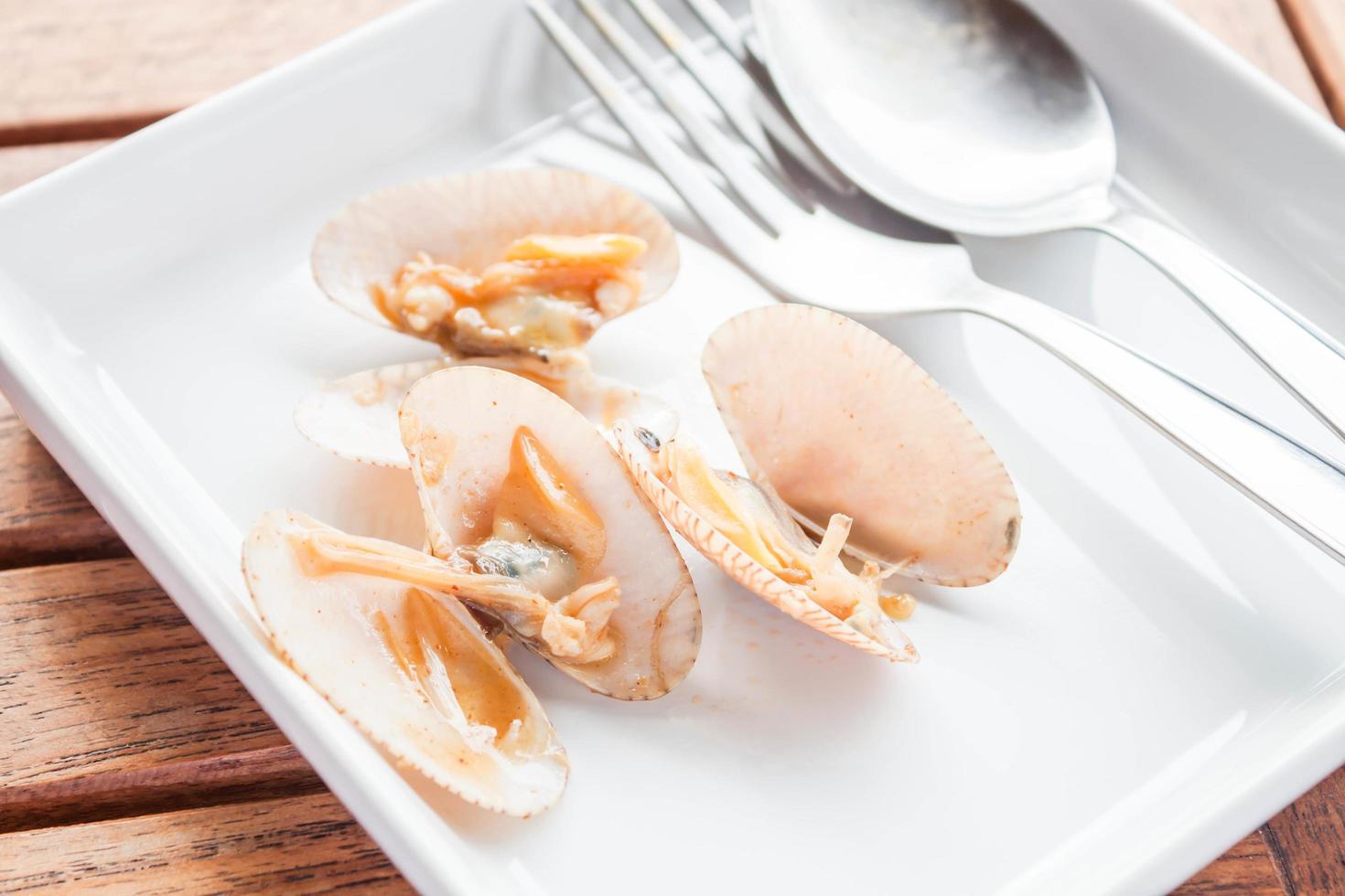 Clams on a white plate photo