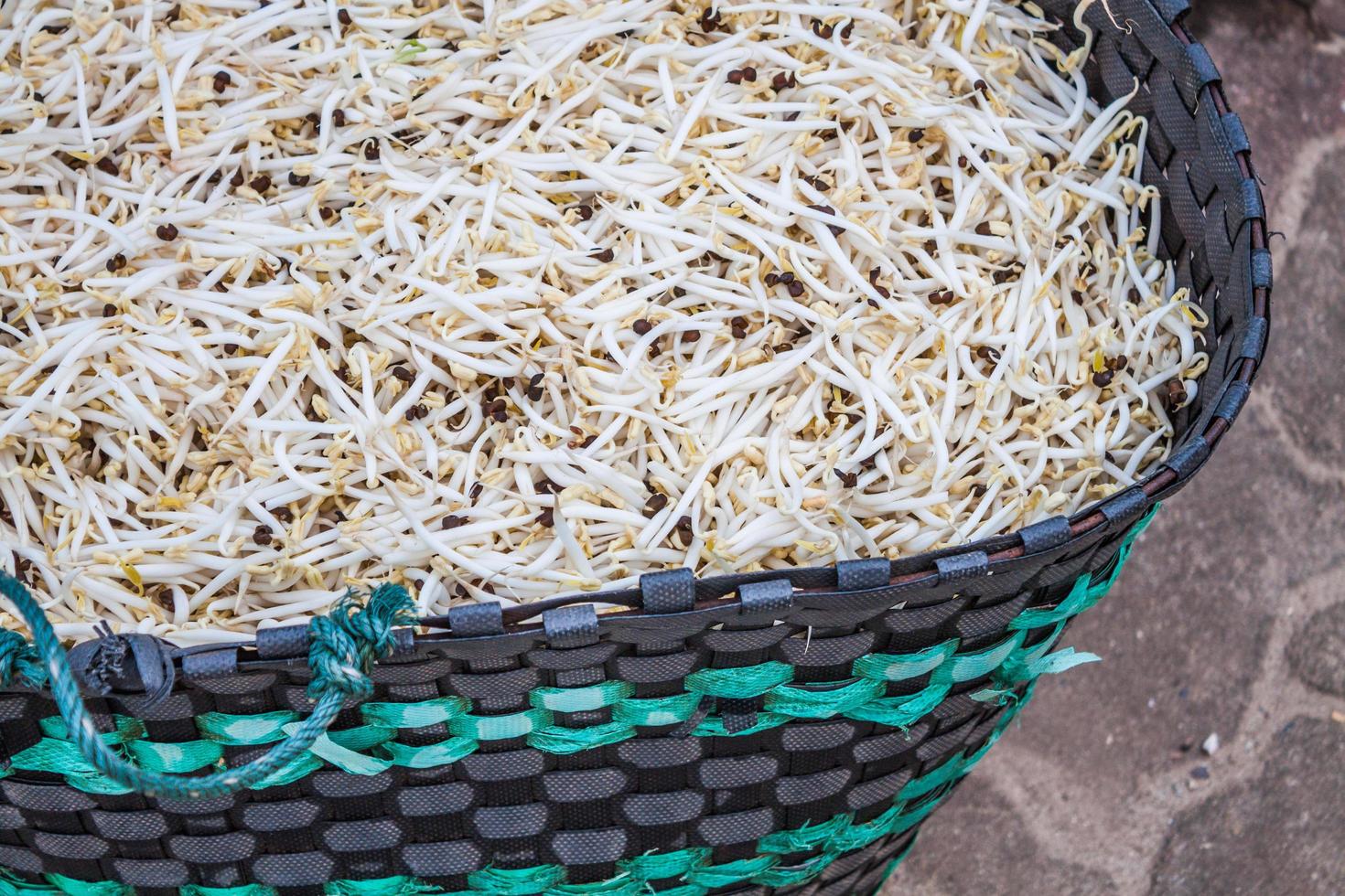 brotes de soja en una canasta foto