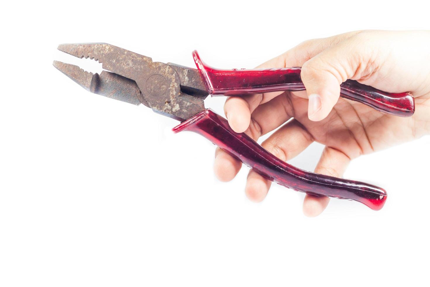 Person holding pruning shears photo