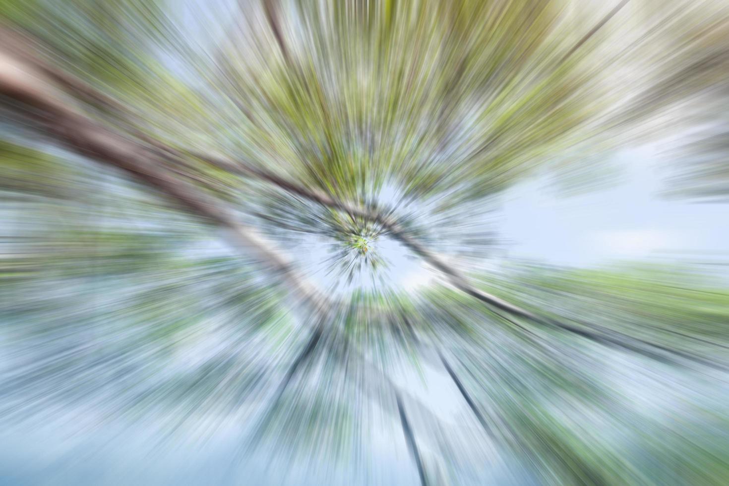 Blurry trees and sky photo