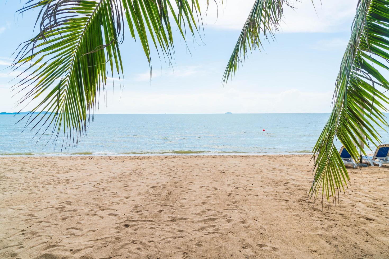 fondo de palmera resort foto