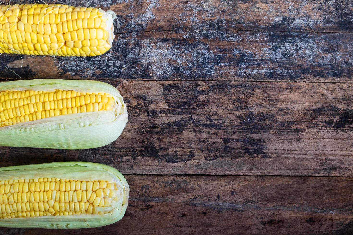 Three ears of corn photo