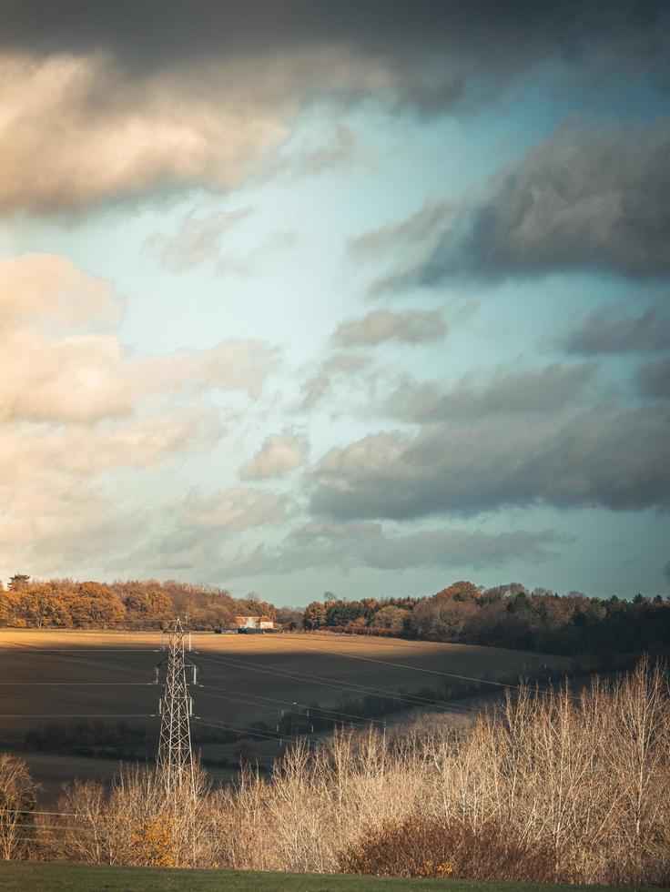 Sunny fields in the summer photo