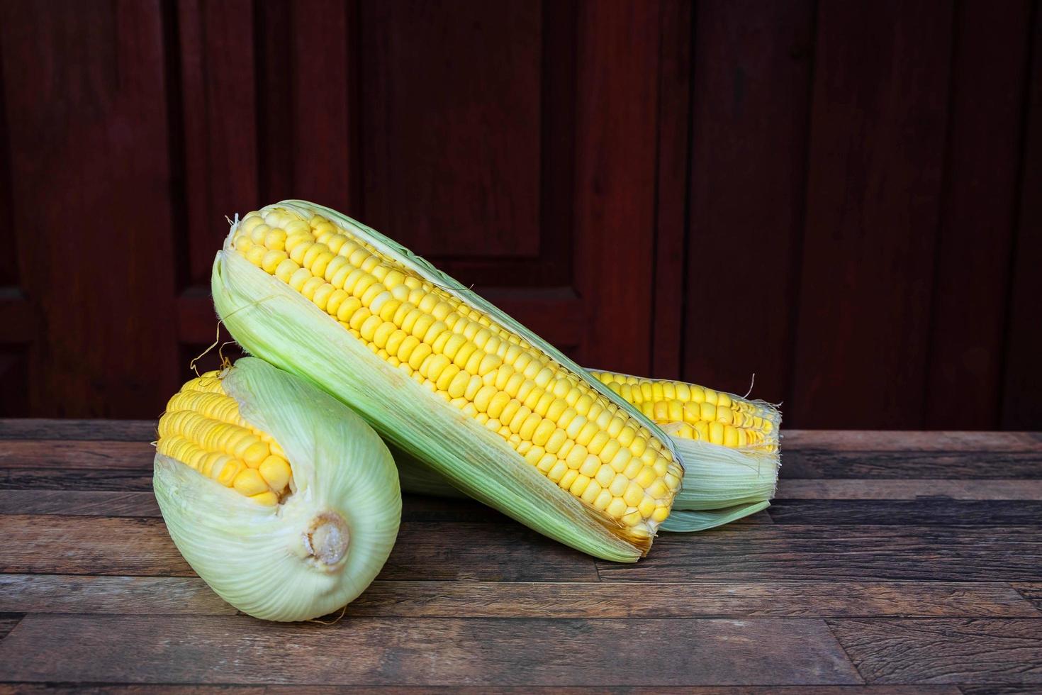 Corn in its ear photo