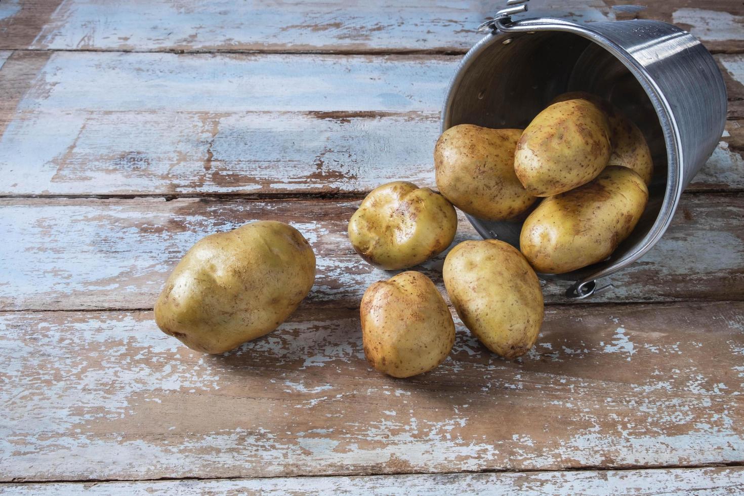 Potatoes in a bucket photo