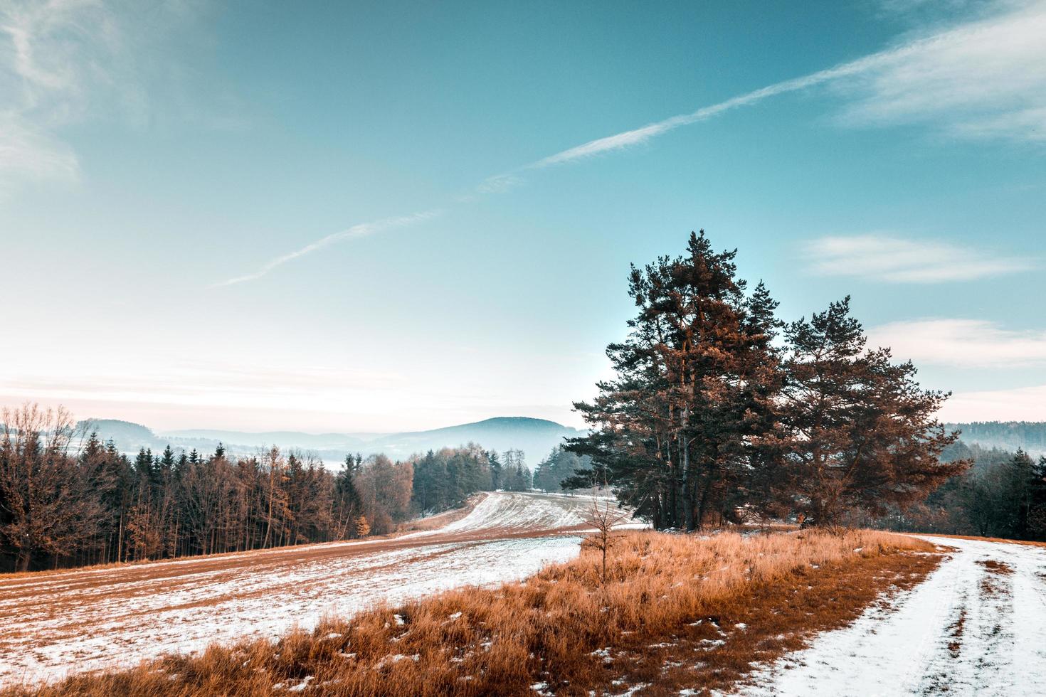 montañas nevadas en la república checa foto