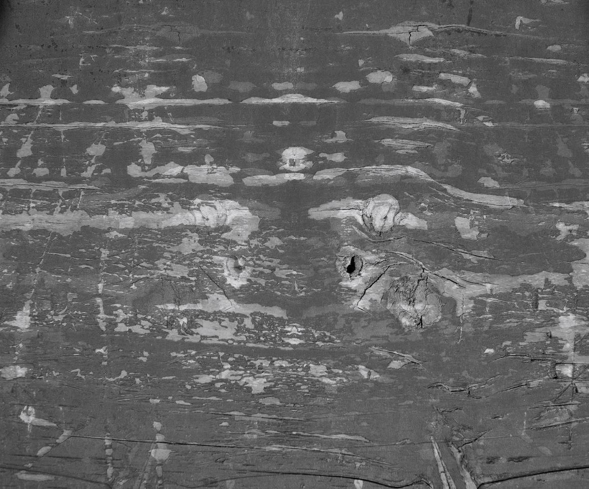 Wooden warm texture photo