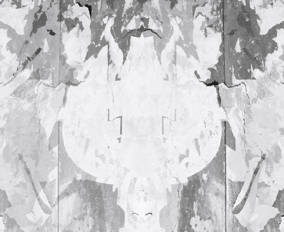 Abstract gray wall texture photo